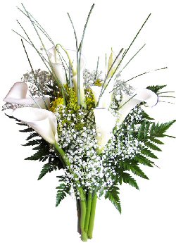 Send flowers online international -LocalStreets- Flower delivery,florists:Calla Sympathy Bouquet